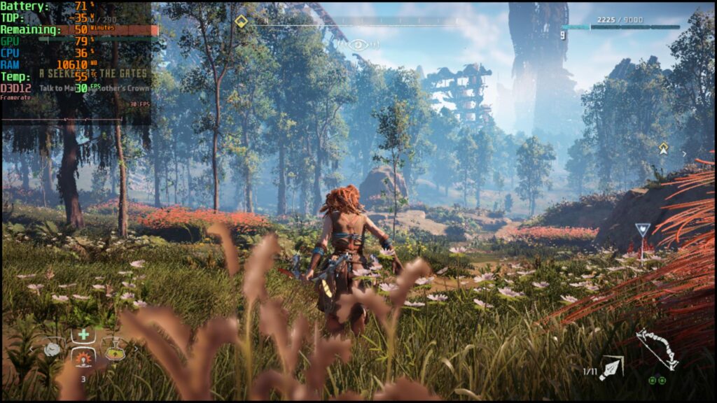 Horizon Zero Dawn: Complete Edition - ROG Ally Performance and