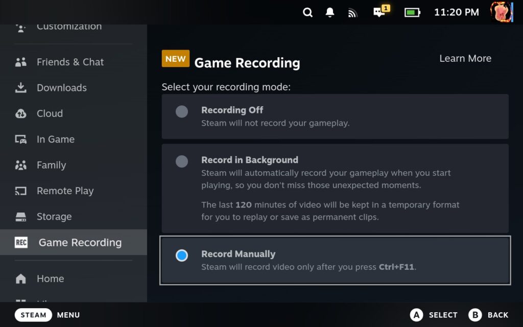 SteamGameRecordingTwoTypes