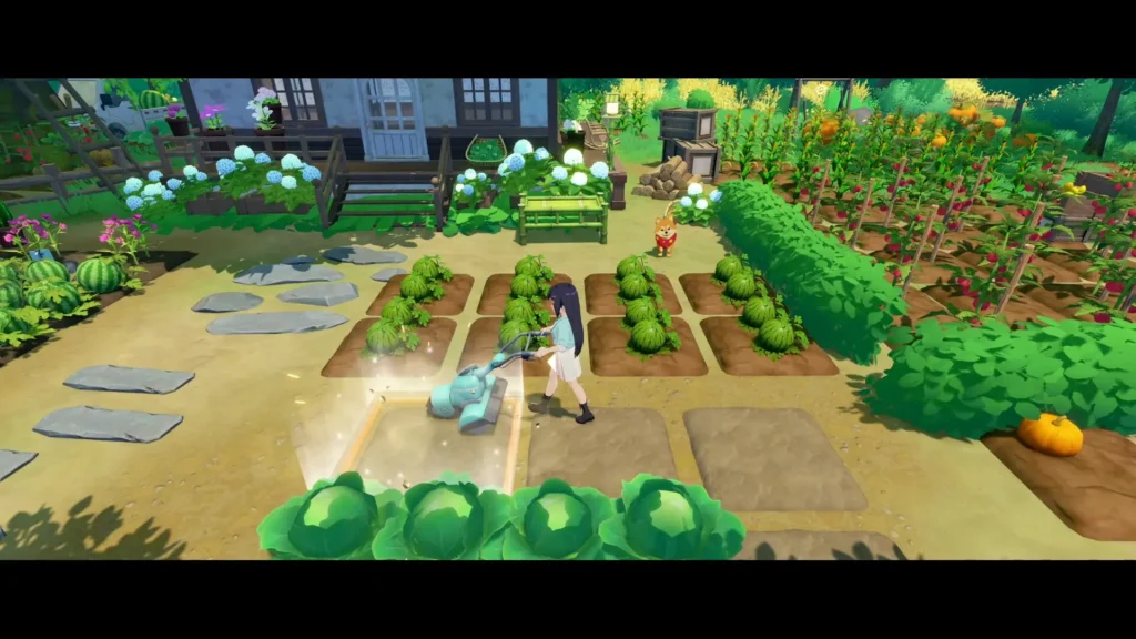 StarsandIslandStock3